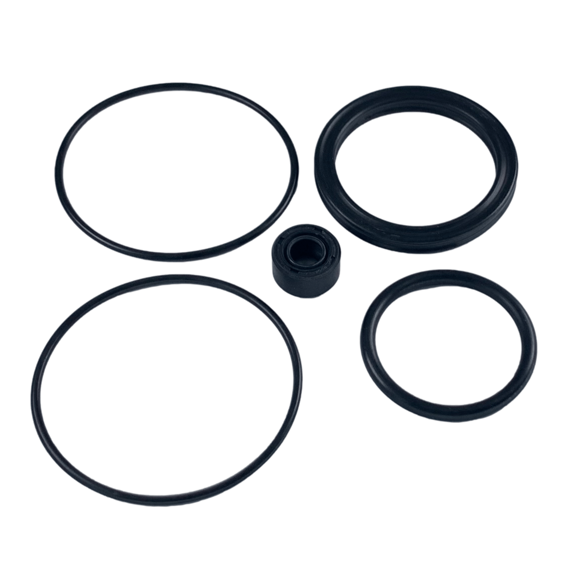 Seal Kit for Pump Models 4475 & 4480 - Lincoln Industrial