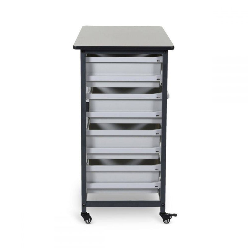 Mobile Bin Storage Unit (Large Bins) - Luxor